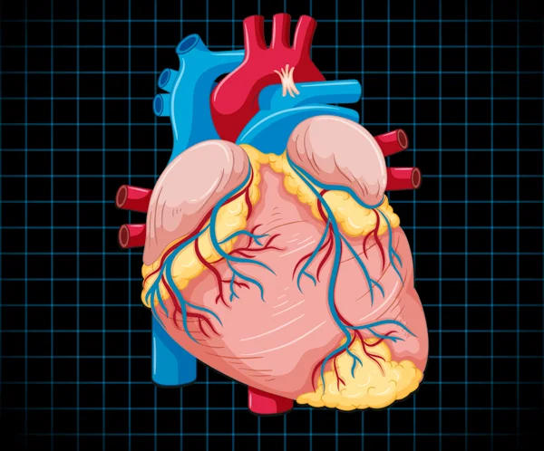 Coronary Artery Disease Care